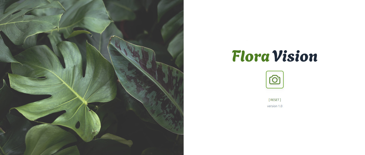 Flora Vision